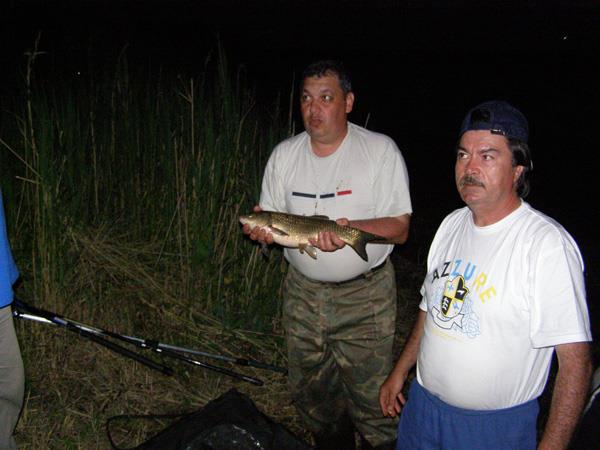 De pe ... balti ... 1 - p5225060.jpg